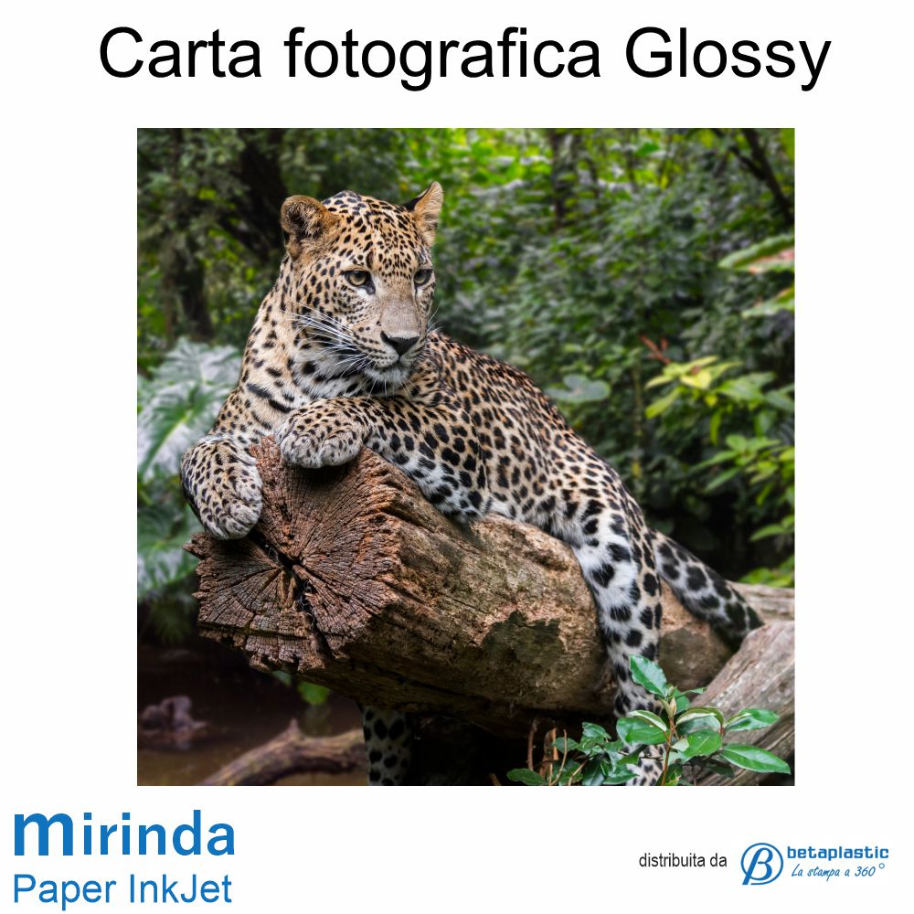 Carta Fotografica Glossy 260gr