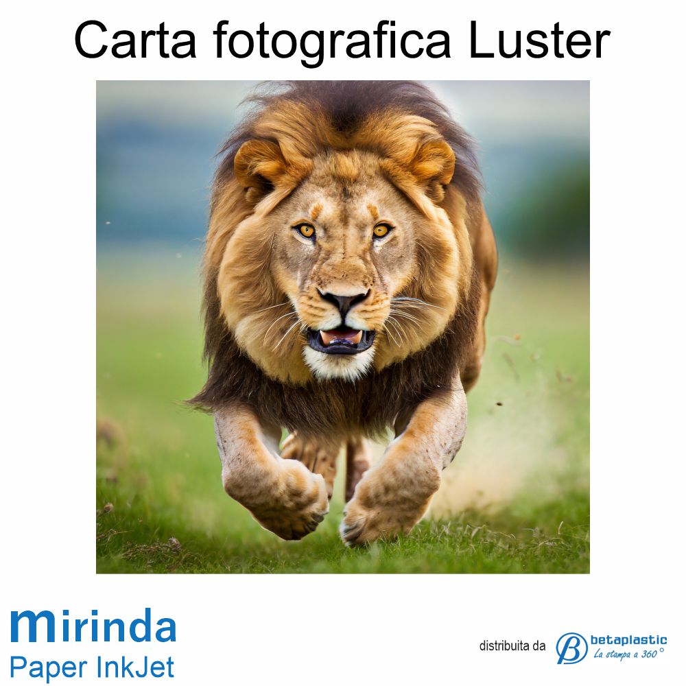 Carta Fotografica Luster 260gr