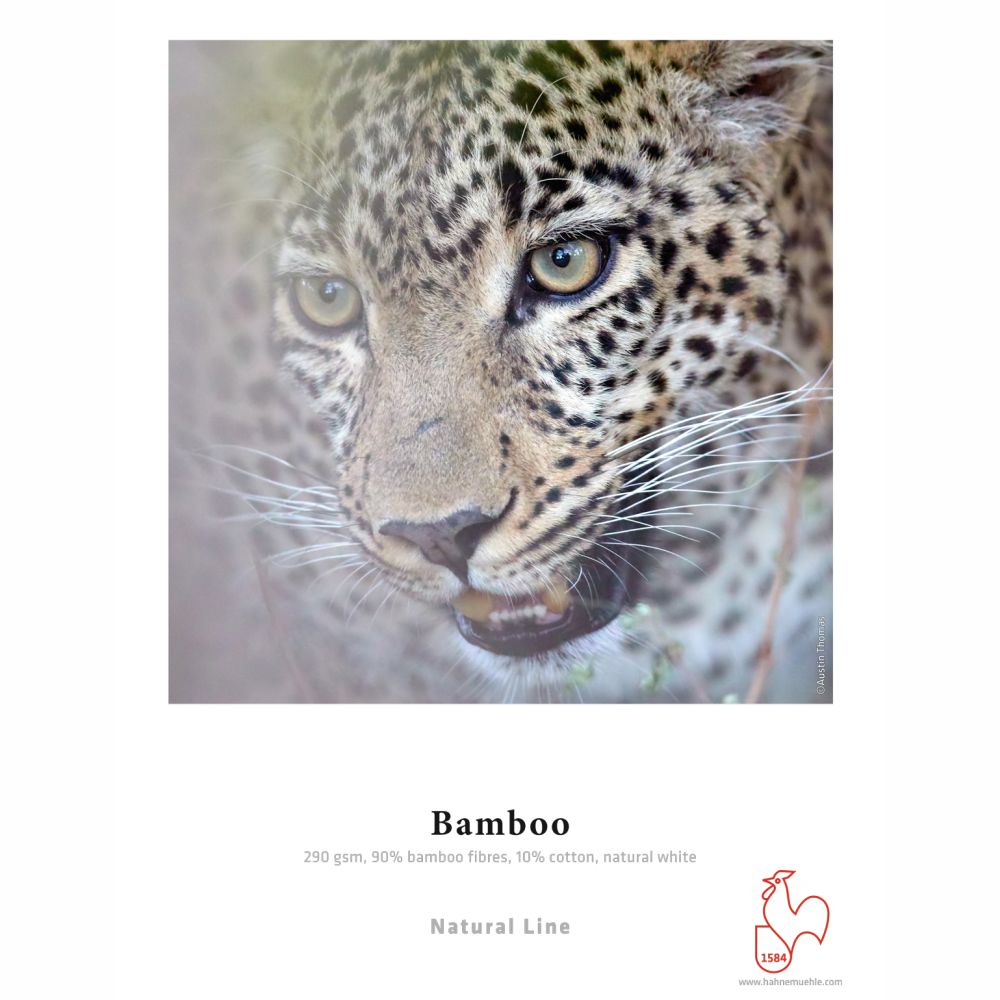 Hahnemuhle FineArt BAMBOO 290gr